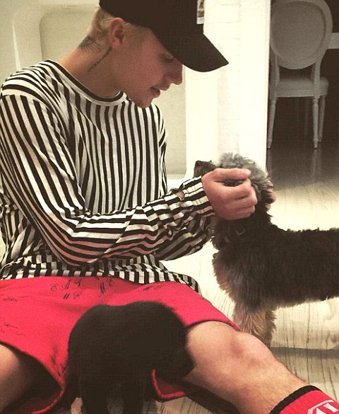 Picture of Justin Bieber and his puppy Phillip