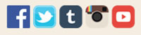 Social media icons