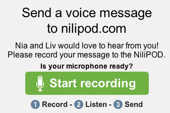 Picture of the SpeakPipe message screen
